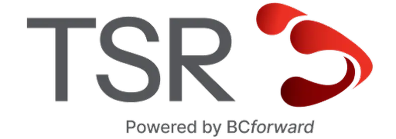 AI Security and Controls Consultant